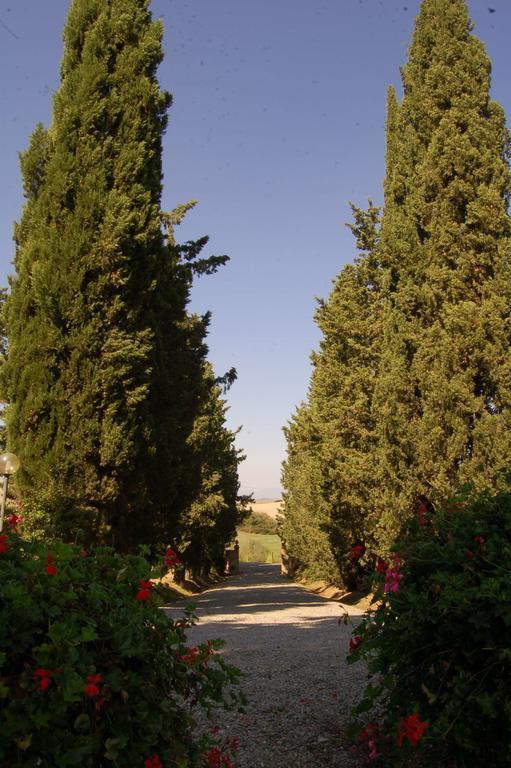 Agriturismo San Francesco Amalia And Anna Orciatico Exterior foto